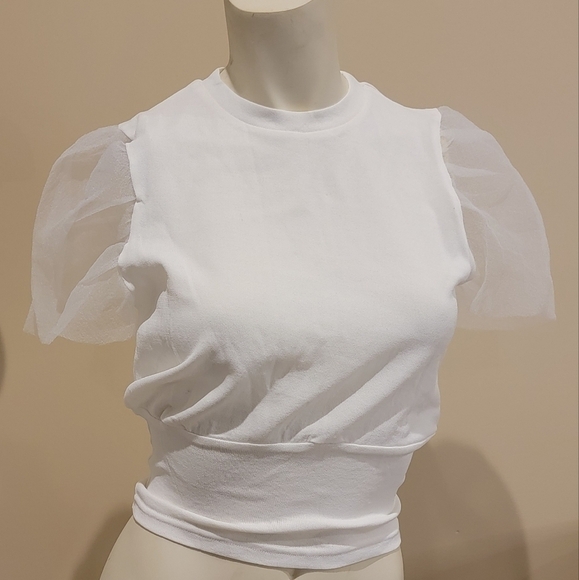 COPY - NWT Nasty Gal Ivory Sheer Sleeve Top - Picture 1 of 3